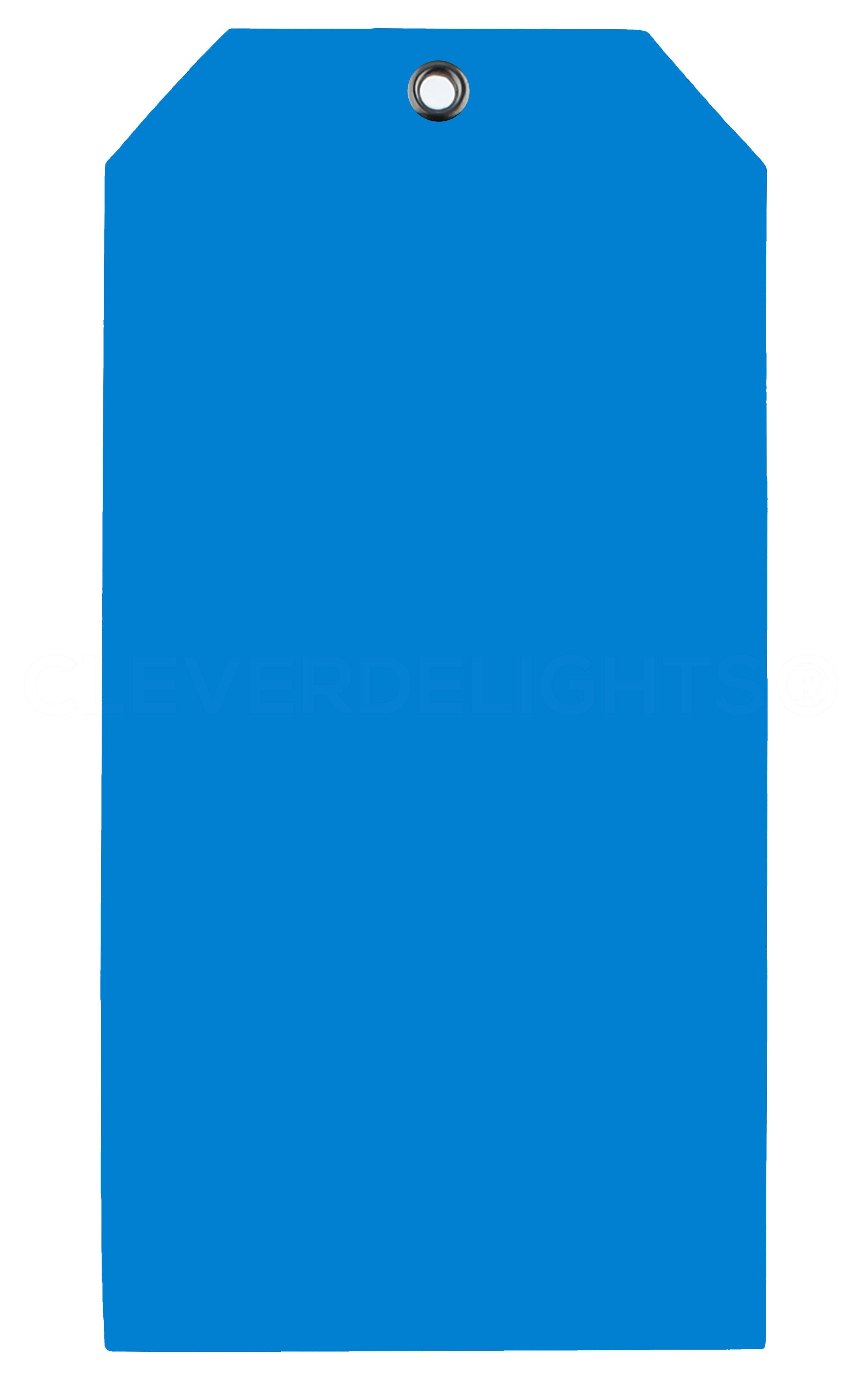 CleverDelights Blue Plastic Tags - 6.25