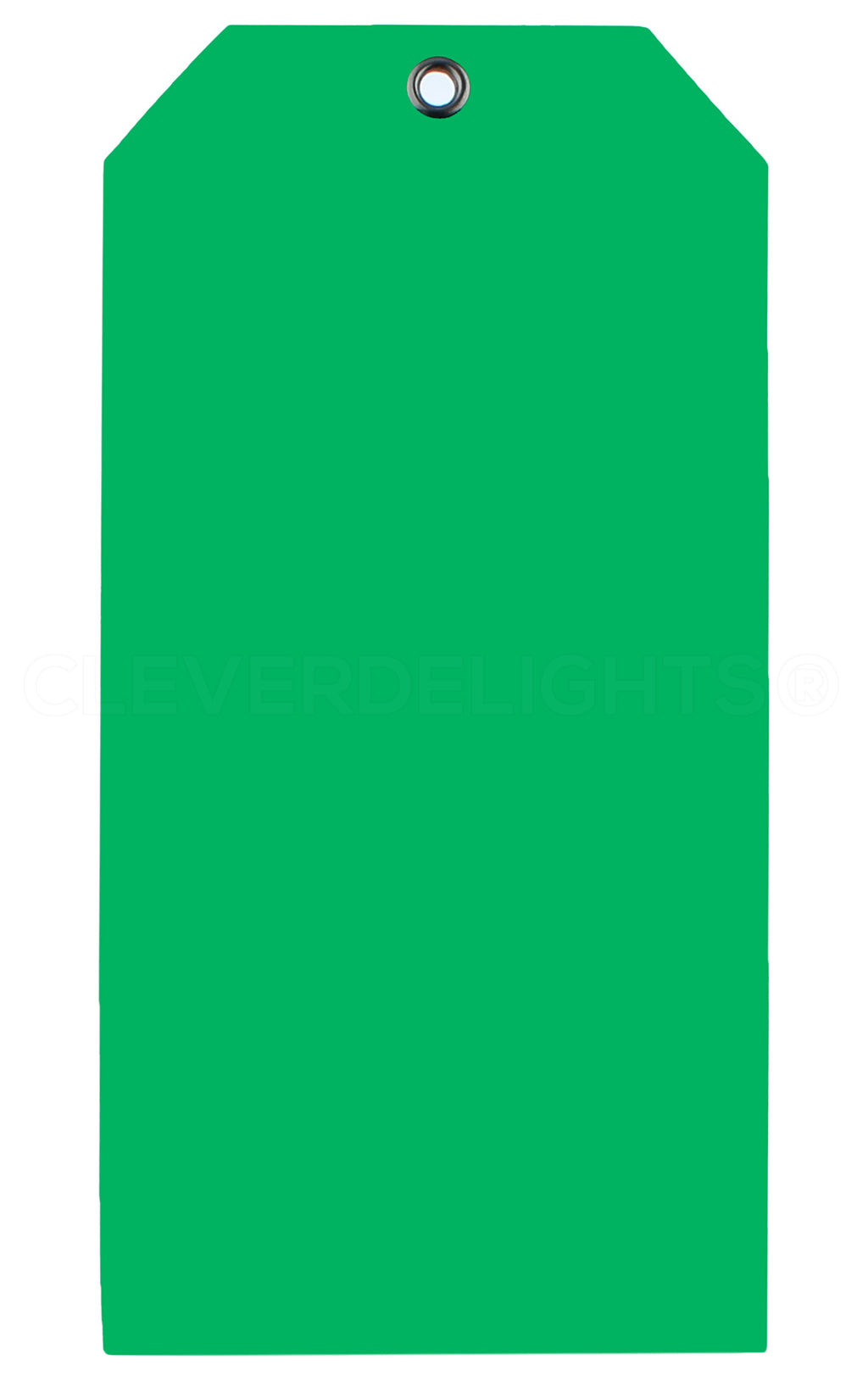 Green Plastic Tags - 6.25" x 3.125"