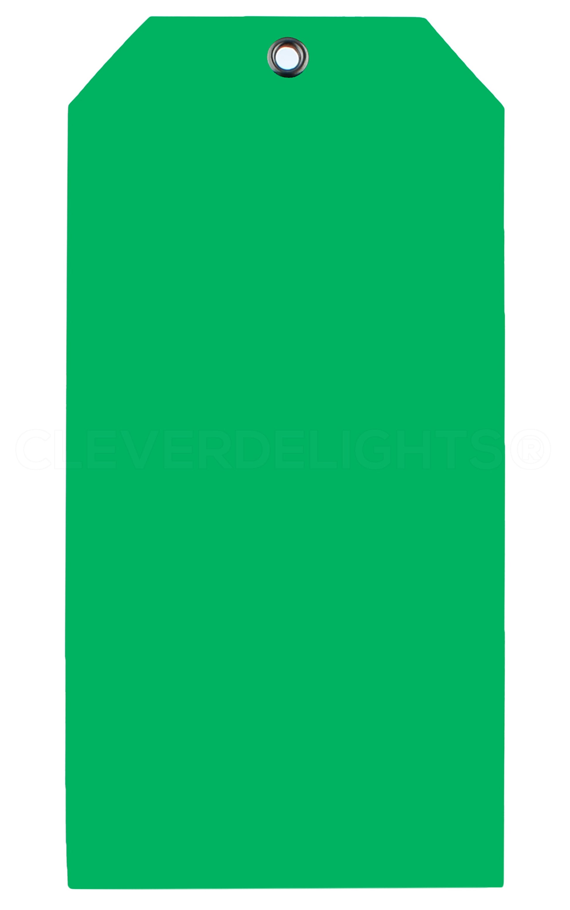 Green Plastic Tags - 6.25" x 3.125"