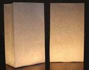 Luminary Bags - White